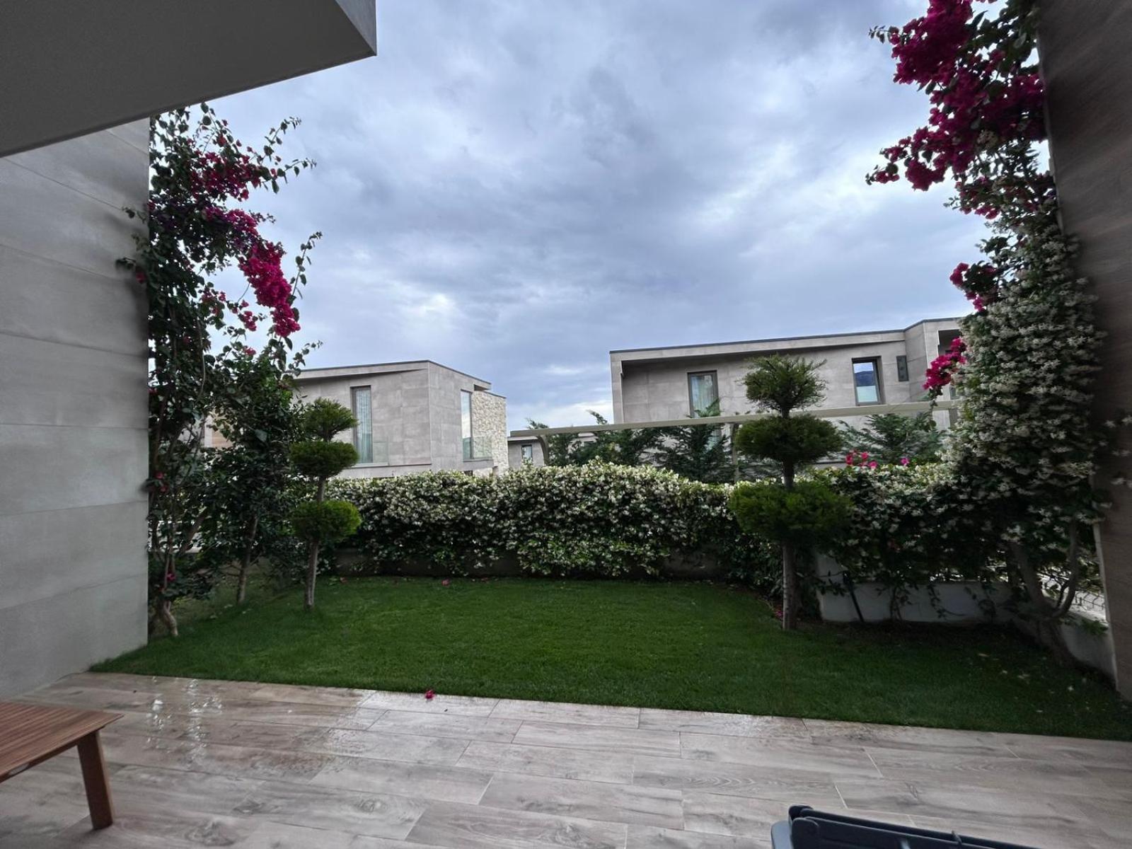 Olea Family With Garden